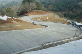 Driveway S-curve with concrete-from above.jpg (1119237 bytes)