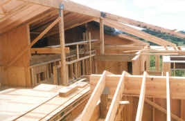 attic level roof framing- from East.jpg (1071798 bytes)