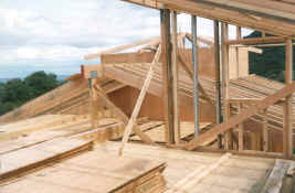 attic level roof framing- from West.jpg (1132598 bytes)