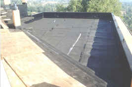 garage_deck_waterproofed-_from_South.jpg (1148379 bytes)