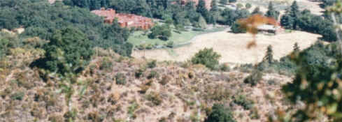 off-site view from Windmill trail before development.jpg (186771 bytes)